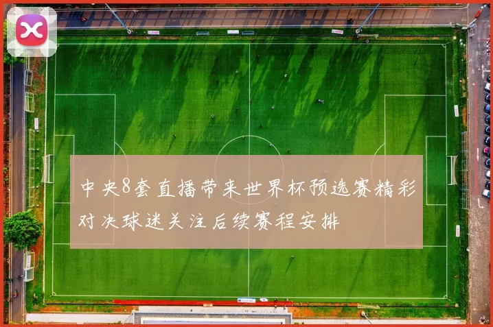 中央8套直播带来世界杯预选赛精彩对决球迷关注后续赛程安排