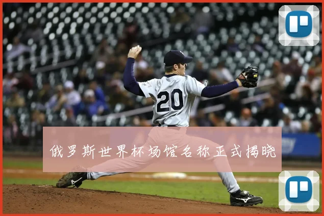 俄罗斯世界杯场馆名称正式揭晓