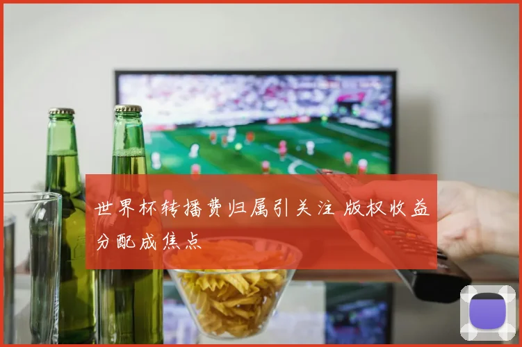 世界杯转播费归属引关注 版权收益分配成焦点